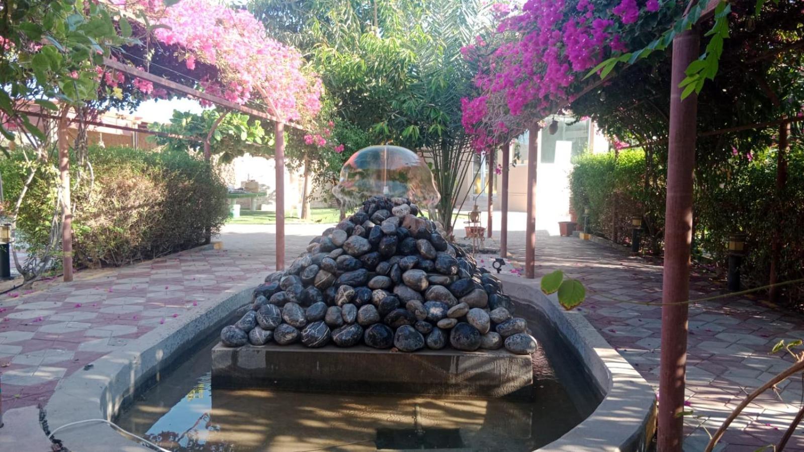 Hotel Al Bayan Palms Nazvá Exteriér fotografie